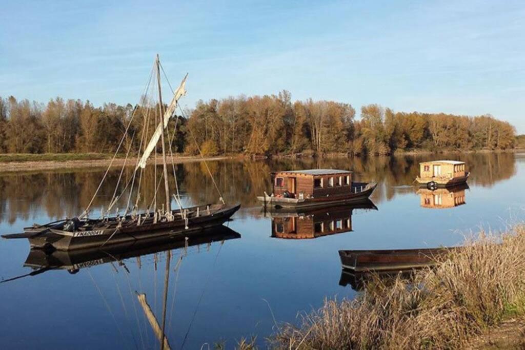 Вилла Gite La Gabare Entre Loire Et Chambord Saint-Dye-sur-Loire Экстерьер фото
